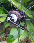 IMG_20201029_180042.jpg