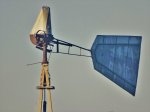 DSC01002.JPG