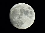DSC00982.JPG