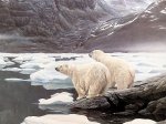 Oso-Polar.jpg