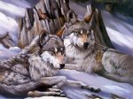 Lobos-En-Invierno.jpg