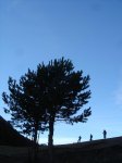 DSC07669.JPG