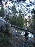 DSC07683.JPG