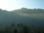 DSCN3966.jpg