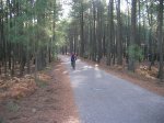 DSCN3971.jpg