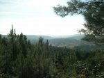 DSCN3976.jpg