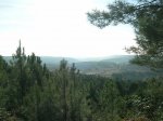 DSCN3977.jpg