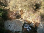 DSCN3978.jpg