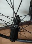 IMG_20201104_152912.jpg