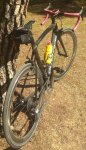 IMG_20200928_125851299.jpg