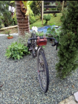 IMG_20201111_124534.png