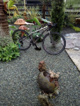 IMG_20201111_124555.png