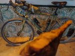 IMG_20201111_192023.jpg