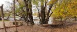 20201108_120557.jpg