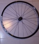IMG_20201117_085549.jpg