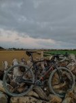 IMG_20201117_180851.jpg