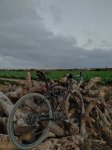 IMG_20201117_180905.jpg