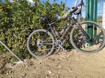 IMG_20201123_154901.jpg