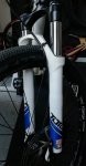 IMG_20201122_171300.jpg