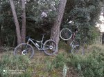 IMG-20201124-WA0012.jpg