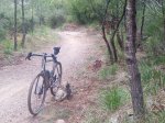 IMG-20201125-WA0010.jpg