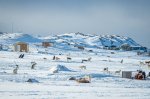 Huw-Oliver-Greenland-30.jpg