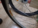 IMG-20201129-WA0000.jpg