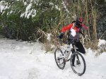 070127-26_Cocons [Resolucion de Escritorio].JPG