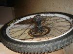 DSC01098.jpg