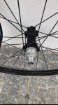 IMG_20201211_170306.jpg
