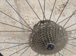 IMG_20201216_161414_184.jpg