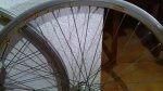IMG_20201219_113532.jpg