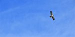 DSC01766.JPG
