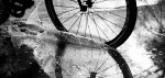 81B_6766.jpg
