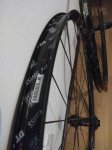 IMG_20201229_173838.jpg