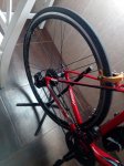 IMG-20201228-WA0008.jpg