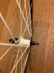 IMG-20201230-WA0026.jpg