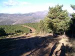PIC_0115_resize.JPG