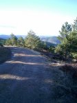 PIC_0116_resize.jpg