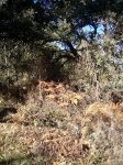 PIC_0141_resize.jpg