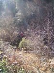 PIC_0147_resize.jpg