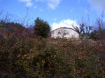 PIC_0160_resize.JPG