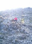 PIC_0157_resize.jpg