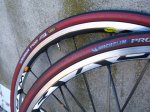 rodes 056.jpg