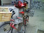 DSC00119.JPG