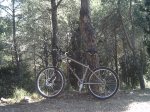 campo_800x600.jpg