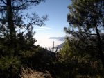 DSC02217.jpg