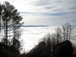 DSC02208.jpg