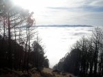 DSC02211.jpg