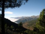 DSC02214.jpg